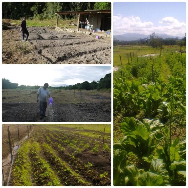 Cairns Community Agriculture 2014